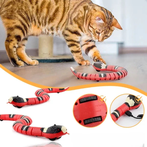 Snaksy™ - Slang Interactief Dierenspeeltje